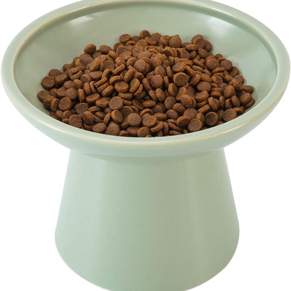 Elevated Green Pet Bowl